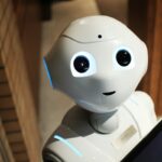 GPT vs Claude for Business Chatbots: What Actually Differs